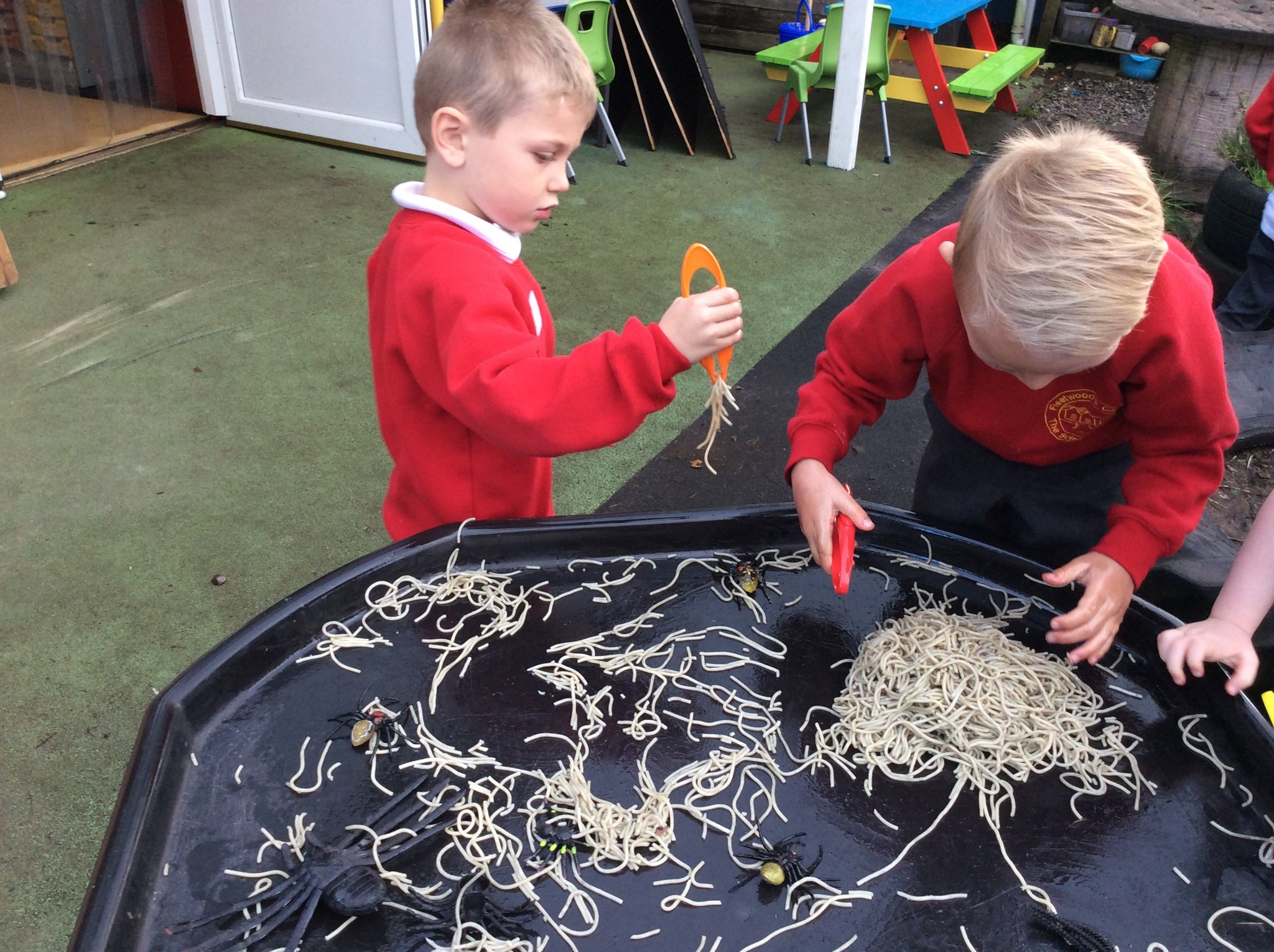 Image of worms and spiders!